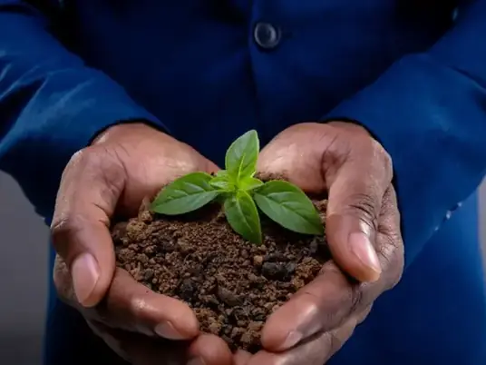 A person cupping healthy soil and a young seedling in their hands